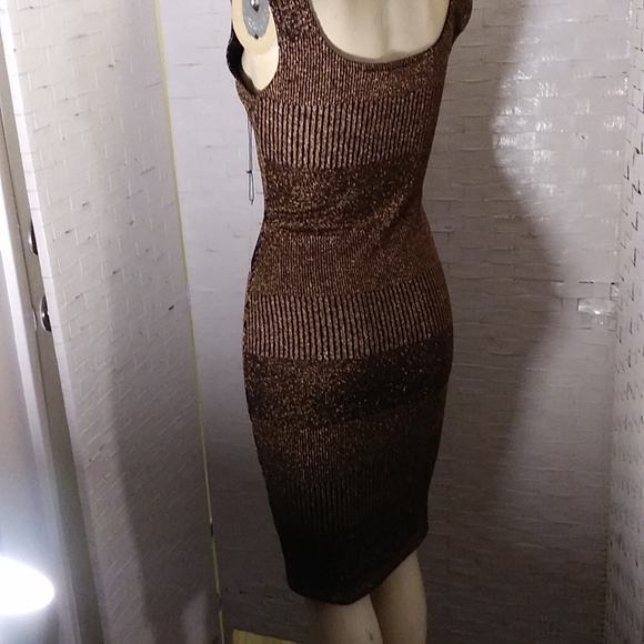 Bronze Chemise NWT - Picture 5 of 8